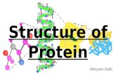 Structure of proteins