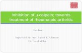 Inhibition of μ-calpain; towards treatment of rheumatoid arthritis