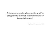 Does osteoprotegerin have a role to play in inflammatory bowel diseases?