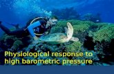 Physiological response to high barometric pressure
