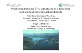 Predicting baseline d13C signatures of a lake food