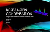 BOSE-EINSTEIN CONDENSATTION-FLIERL(FINAL COPY)