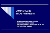Amino acidsynthesis