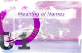 Meaning of some names