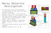 Decay Detector Description