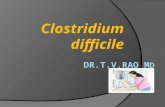 Clostridium difficle An emerging Infection