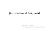 β Oxidation of fatty acid