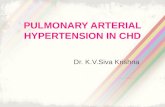 Pulmonary arterial hypertension in congenital heart disease