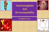 Fetal hemoglobin and rh incompatibility