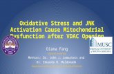 Oxidative Stress and JNK Activation Final