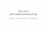 Social entrepreneurship 2