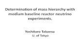 Talk at Neutrino conference, Kyoto