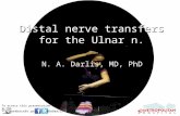 Περιφερικές Νευρομεταφορές για βλάβες του Ωλενίου Νεύρου- Distal Nerve transfers for Ulnar n. injuries