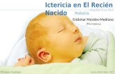 Ictercia neonatal