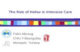The Role of Heliox in Intensive Care Fekri Abroug CHU F.Bourguiba Monastir. Tunisia.