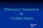 Fibonacci Sequence & Golden Ratio Monika Bała. PLAN OF THE PRESENTATION: Definition of the Fibonacci Sequence and its properties Definition of the Fibonacci.