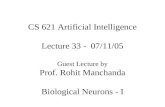 CS 621 Artificial Intelligence Lecture /11/05 Guest Lecture by Prof