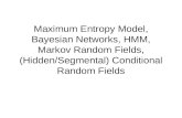 Maximum Entropy Model, Bayesian Networks, HMM, Markov Random Fields, (Hidden/Segmental) Conditional Random Fields.