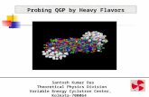Probing QGP by Heavy Flavors Santosh Kumar Das Theoretical Physics Division.