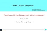 RHIC Spin Physics M. Grosse Perdekamp (University of Illinois and RBRC) Workshop on Hadron Structure and Hadron Spectroscopy August 1-3, 2005 Charles University,