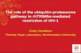 The role of the ubiquitin-proteasome pathway in rhTRIM5-mediated restriction of HIV-1 Cindy Danielson Thomas Hope Laboratory, Northwestern University.