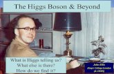 The Higgs Boson  Beyond What is Higgs telling us? What else is there? How do we find it? John Ellis Kings College London ( CERN)