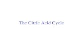 The Citric Acid Cycle. Citric acid cycle (8 steps)