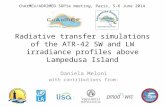 Radiative transfer simulations of the ATR-42 SW and LW irradiance profiles above Lampedusa Island Daniela Meloni with contributions from: ChArMEx/ADRIMED.