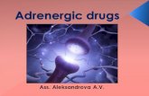 Adrenergic drugs Ass. Aleksandrova A.V