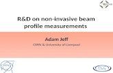 RD on non-invasive beam profile measurements Adam Jeff CERN  University of Liverpool.