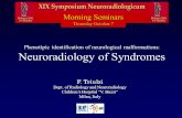 Phenotipic identification of neurological malformations: Neuroradiology of Syndromes Morning Seminars Thursday October 7 F. Triulzi Dept. of Radiology.