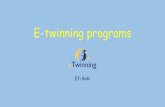 E twinning programs