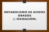 Metabolismo de Ácidos Grasos (Beta- Oxidación)