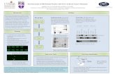 CPRIT Poster Final
