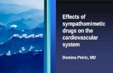 Effects of sympathomimetic drugs on the cardiovascular system