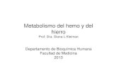 Metabolismo del hemo y del hierro 2013 - fmed.uba.ar del hemo y del hierro... · Metabolismo del hemo y del hierro Prof. Dra. Diana L.Kleiman Departamento de Bioquímica Humana Facultad