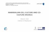 MAMMALIAN CELL CULTURE AND CO CULTURE · PDF file• Epithelial cells kidney tubule, mammary, lung, colonic, choroid plexus ... kanamycin ## #100 μg/ml ... student-friendly modernization