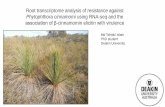 Phytophthora cinnamomi using RNA-seq and the - · PDF file10th November 2016 Root transcriptome analysis of resistance against Phytophthora cinnamomi using RNA-seq and the association