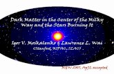 Dark Matter in the Center of the Milky Way and the Stars ... · PDF fileDark Matter in the Center of the Milky Way and the Stars Burning It Igor V. Moskalenko & Lawrence L. Wai (Stanford,