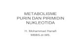 METABOLISME PURIN DAN PIRIMIDIN NUKLEOTIDA · PDF fileKELAINAN METABOLISME PIRIMIDIN Hasil akhir metabolisme pirimidin larut dalam air, tidak banyak kelainan yang ... amino folic acid)