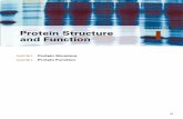 SECTION Protein Structure and Function · PDF fileCHAPTER 2 Protein Structure 29 A s described in Chapter 1, the Watson-Crick Model helped to bridge a major gap between genetics and