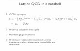 Lattice QCD in a nutshell - University of Southampton · PDF fileBreaking of rotational/translational Lorentz ... Euclidean space path integral ... Lattice QCD in a nutshell Partial