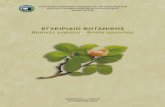 ΕΓΧΕΙΡΙ∆ΙΟ ΒΟΤΑΝΙΚΗΣ - ekke.gr · PDF fileΜικρο βιο λογία, Κυτταρική Βιολογία, Εξελικτική Βιολογία, Βιοτεχνολογία