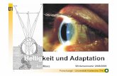 Licht und Displaytechnik - KIT - · PDF fileLicht und Displaytechnik Helligkeit 5 Forschungs - Universität Karlsruhe (TH) C = L L Δ Helligkeitsmodelle: Der Fechner’sche Ansatz: