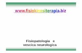 U.O. Urologia Universitaria Università degli Studi di Pisa ... · PDF fileLocalizzazione delle principali patologie neurologiche causa di vescica neurologica PATOLOGIA NEUROLOGICA