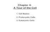 Chapter 4: A Tour of the Cell - Los Angeles Mission College Chapter 4.pdf · Chapter 4: A Tour of the Cell 3. ... 5 4 3 engulfment ... • cell structure & shape • cell, organelle