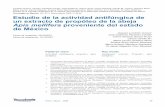 Tecnología en Marcha, Estudio de la actividad antifúngica ... · PDF filesobre agar dextrosa Sabouraud (SDA), Müeller-Hinton con 2% de glucosa y 0,5 μg/mL de azul de metileno (MH-