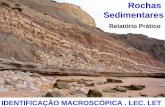 Rochas - geomuseu.ist.utl.ptgeomuseu.ist.utl.pt/MINGEO2010/Aulas%20praticas/TEMA%203%20-… · Rochas sedimentares de precipitação química, ... 3.Estado de alteração e outros