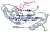 Gli enzimi - dbcf.unisi.it · PDF fileEnzima – termine generico per definire un catalizzatore biologico Tranne che diversamente indicato, tutti gli enzimi sono proteine e mostrano