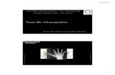 Tema 03: Citoesqueleto · PDF fileDímero α‐de β‐ Tubulina ... de Folhas Alongamento do Microtúbulo Massa